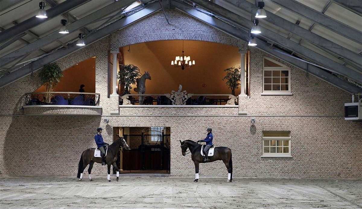 Конюшня Антонио Бандераса