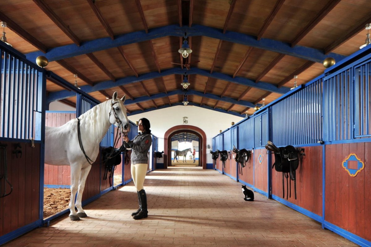 Конюшня Стеллы Стекцер