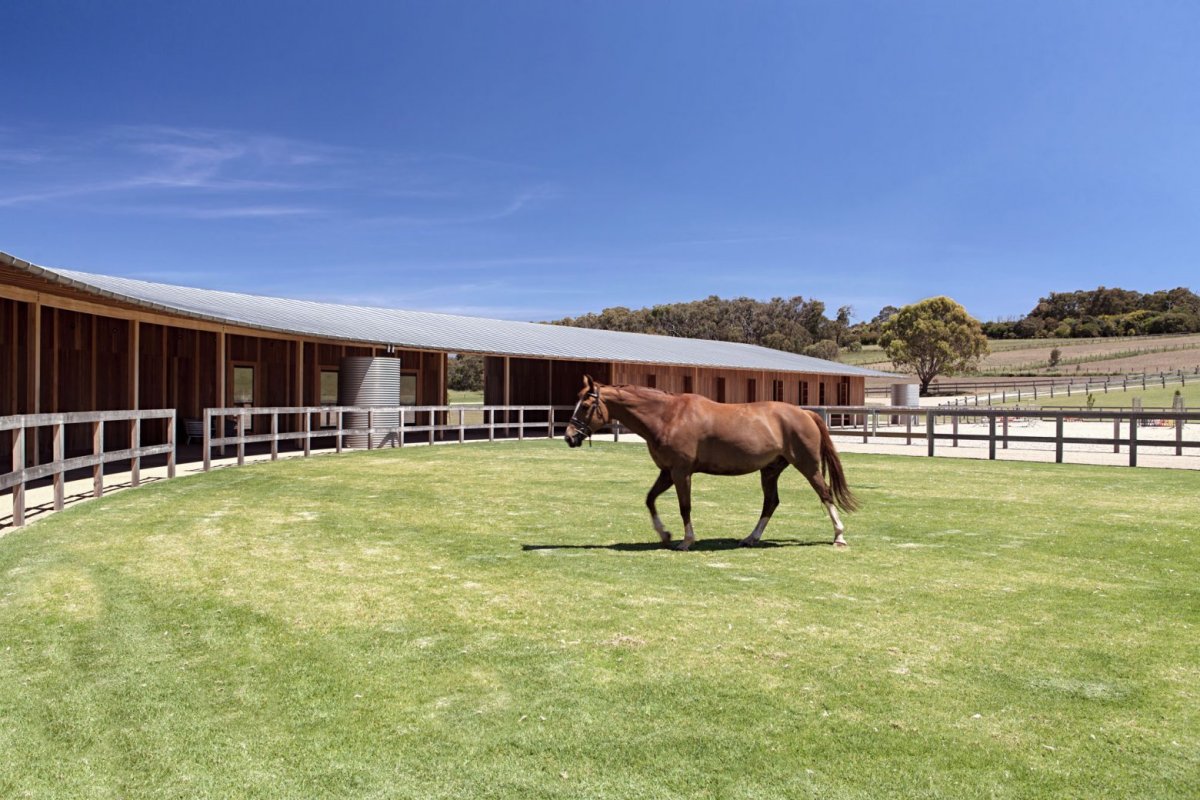 Конная ферма «лошади Дзержинский»
