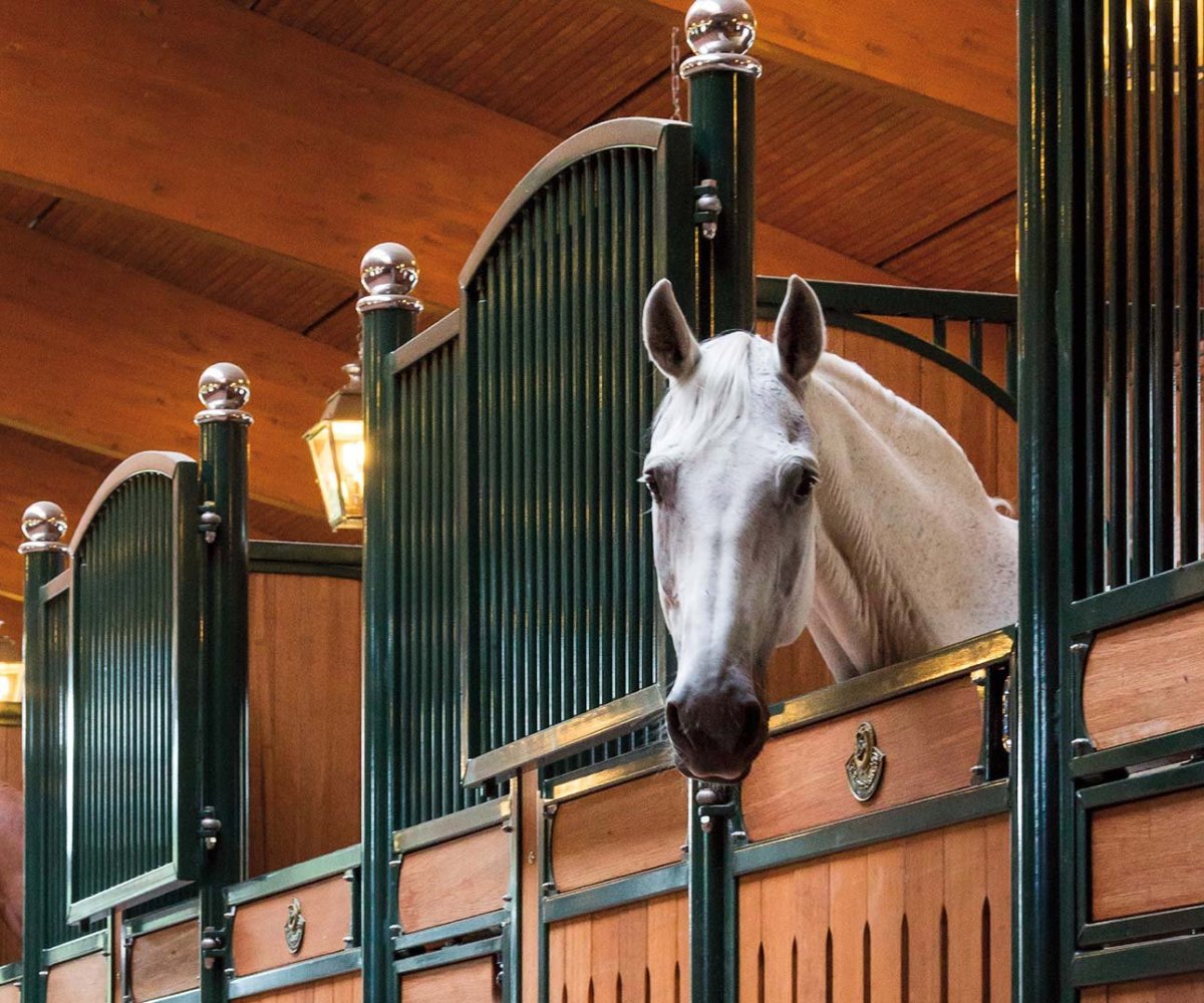 Денник для лошади