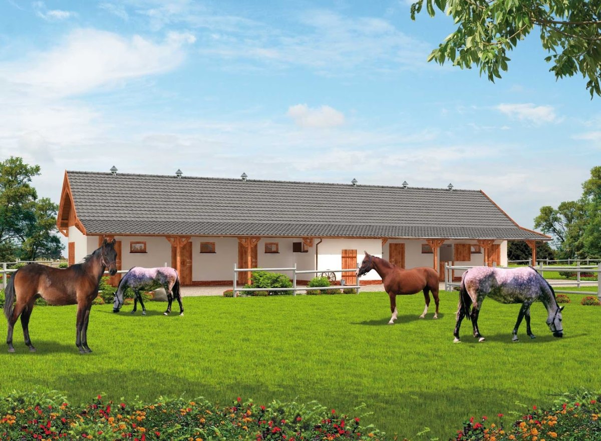 Конюшня Староселье