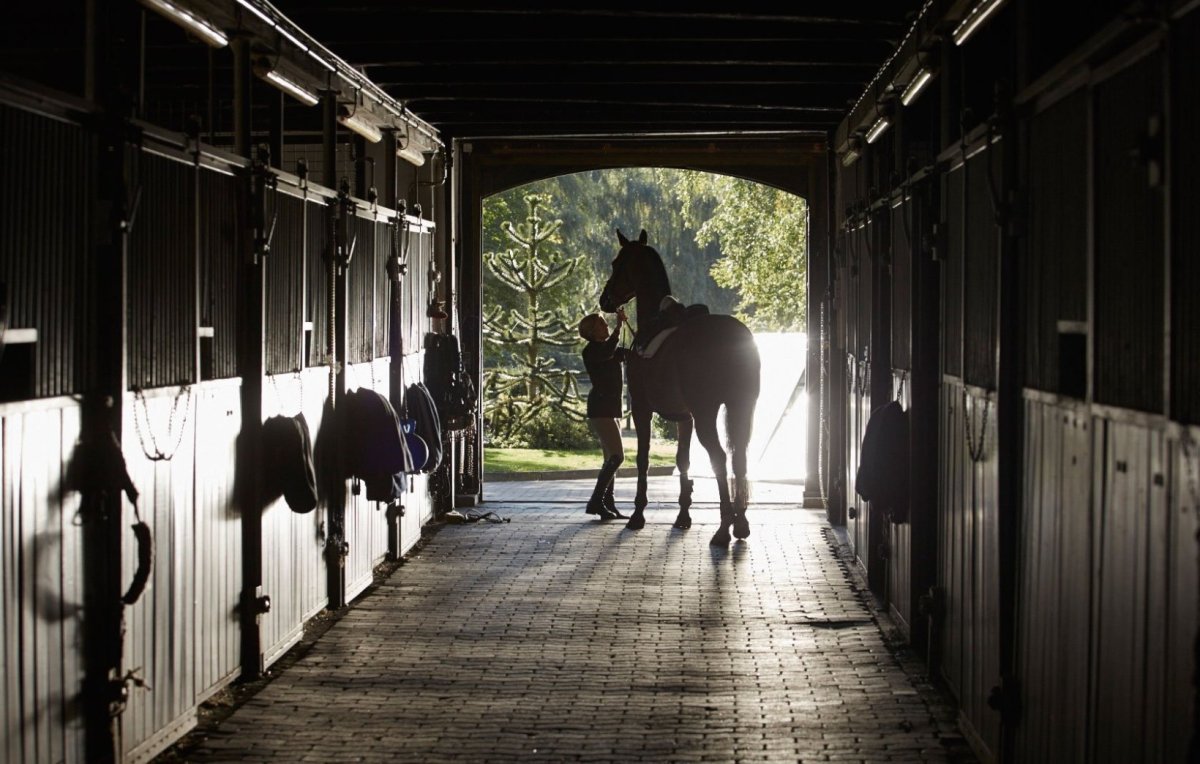 Фотосессия в конюшне