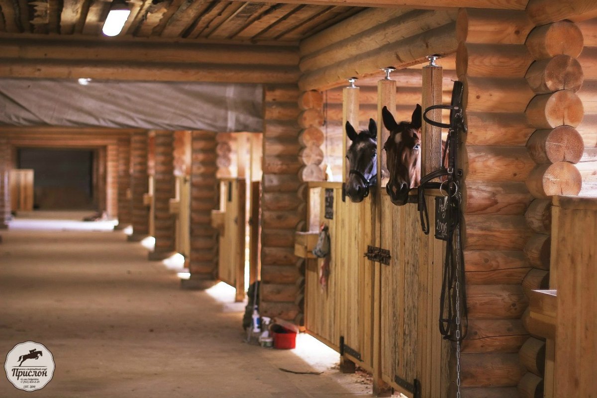 КСК изумрудный лес конюшня