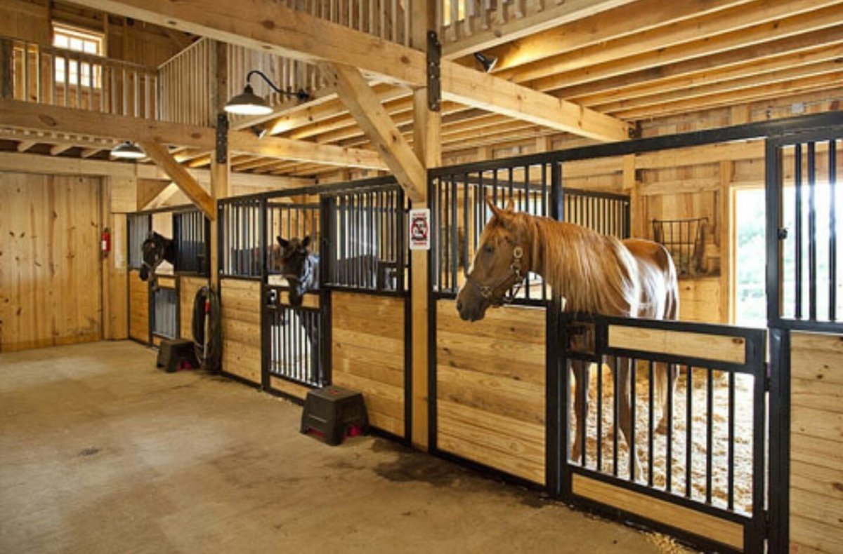 Конюшня Стеллы Стекцер