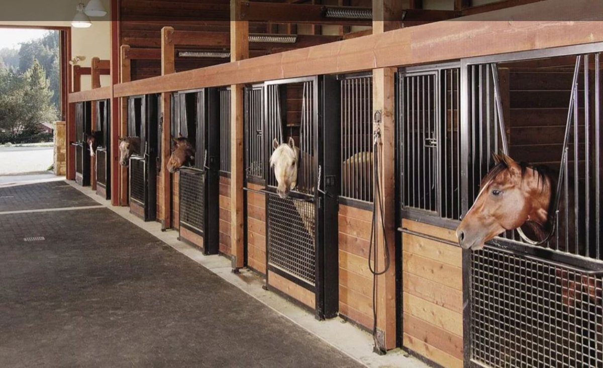 Идеальная конюшня