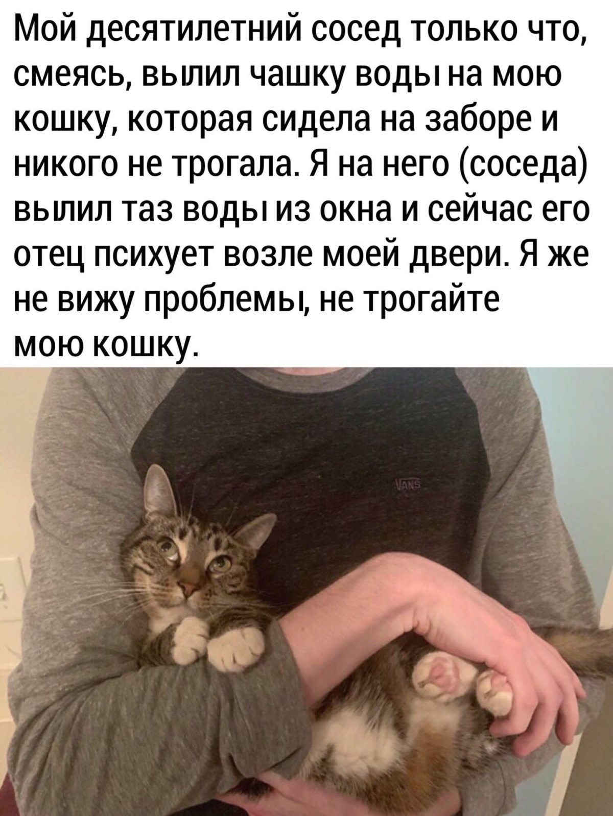 Не обижайте кошек