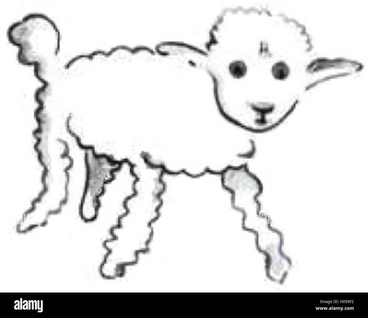 Маленький принц зорко