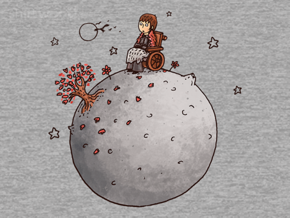 Маленький принц Овечка