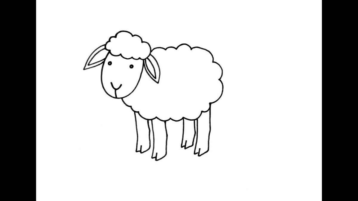 Коробка из маленького принца