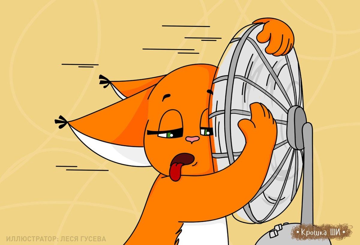 Крошка ши отпуск