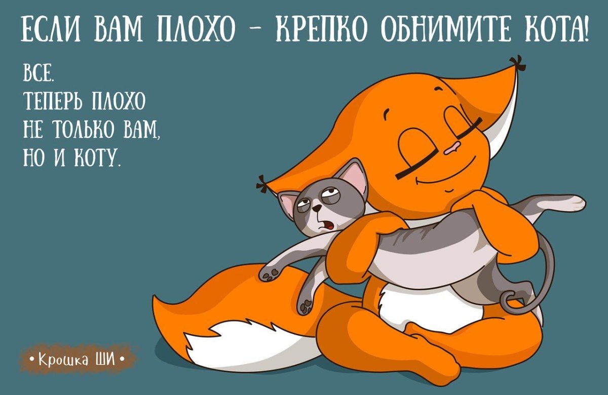 Крошка ши обнимашки