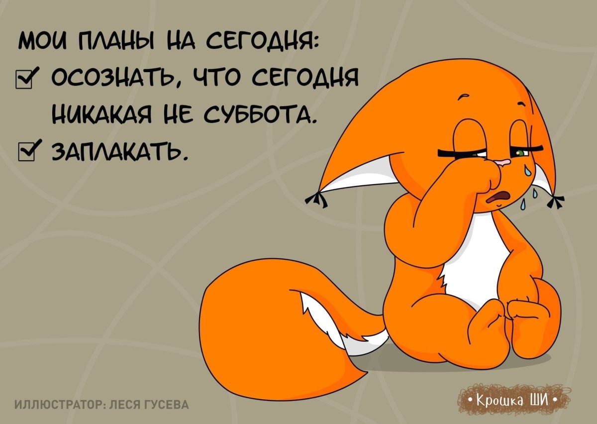 Белочка ши доброе утро