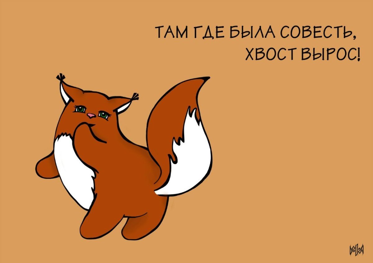 Смешные фразы про белку