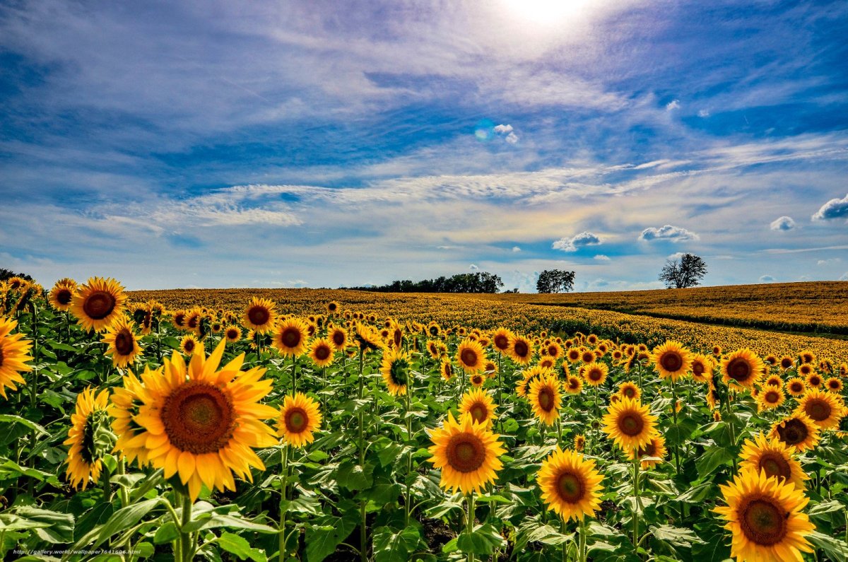 Автомобильный монитор MYDEAN is-906