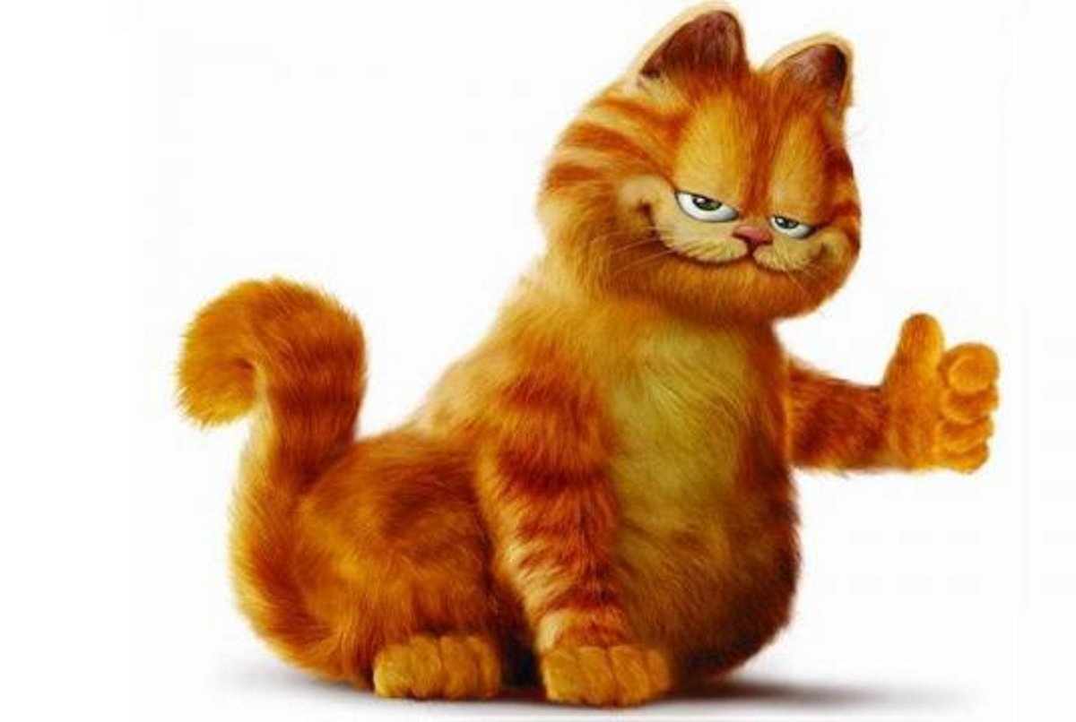 Гарфилд порода кота