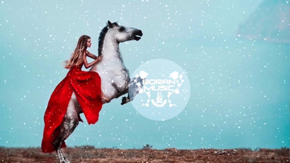 Christa merk лошади