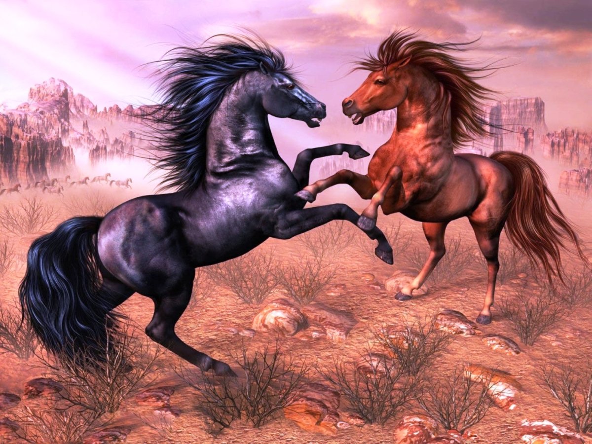 Картинки лошадей красивые