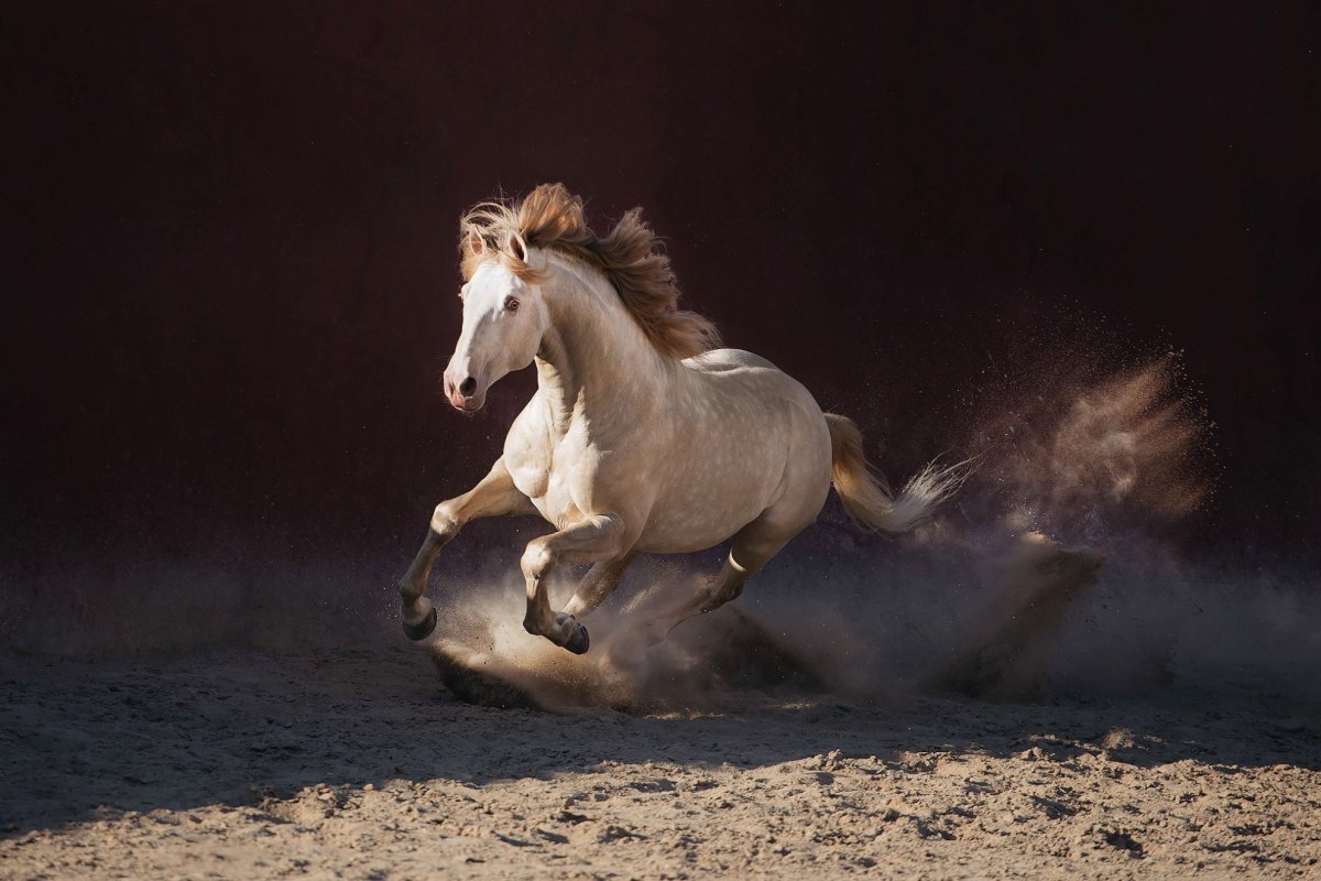 Лошадь в веночке