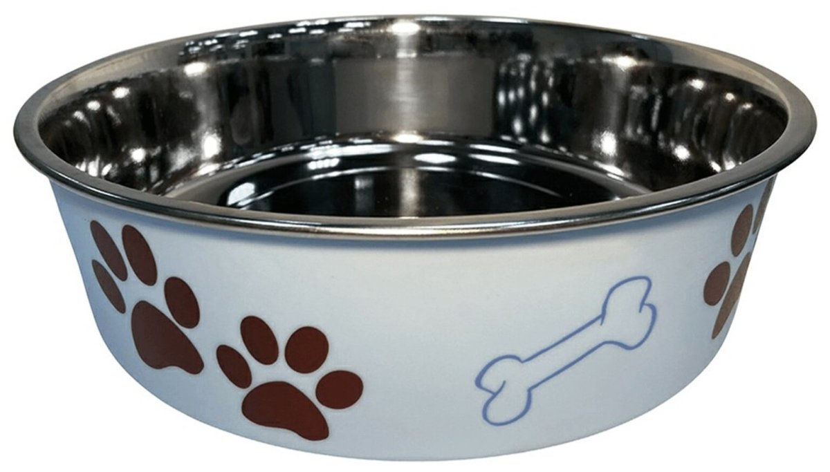 Щенок с миской раскраска