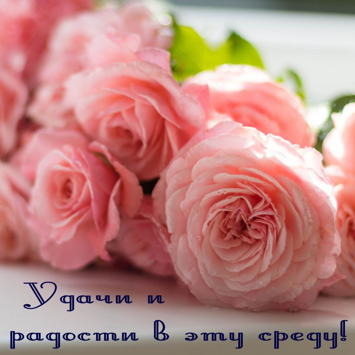 Пожелания с добрым утром среды