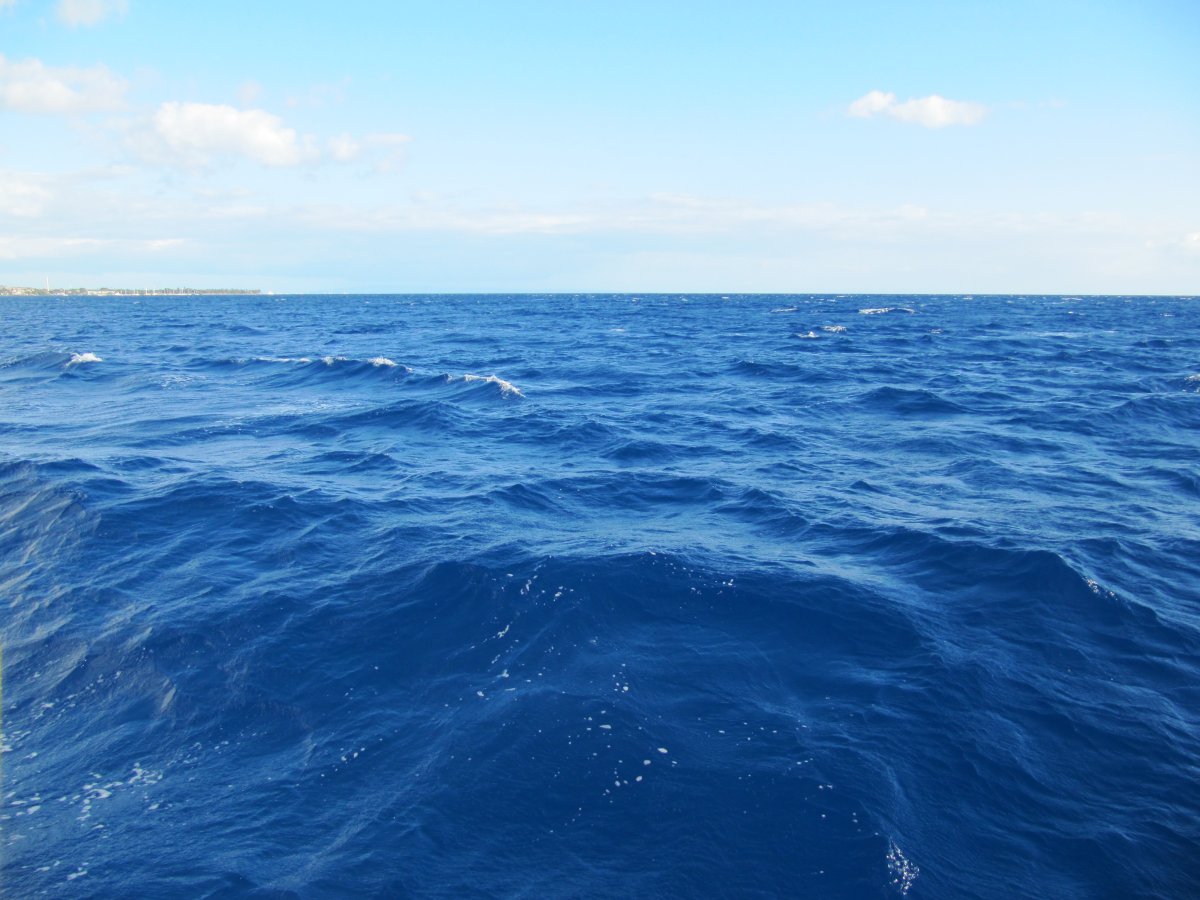 Тихий океан презентация