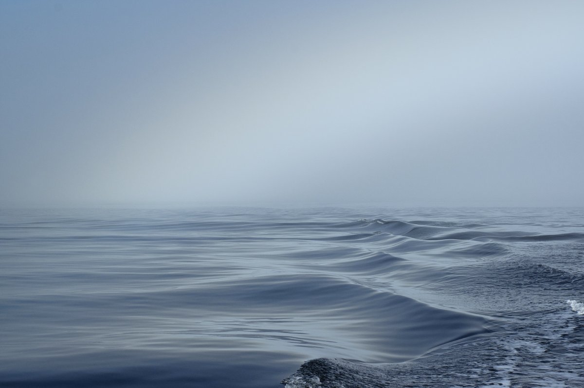 Океан светлый