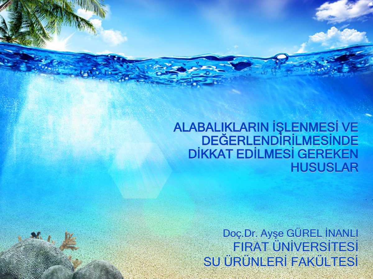 Тропические лагуны