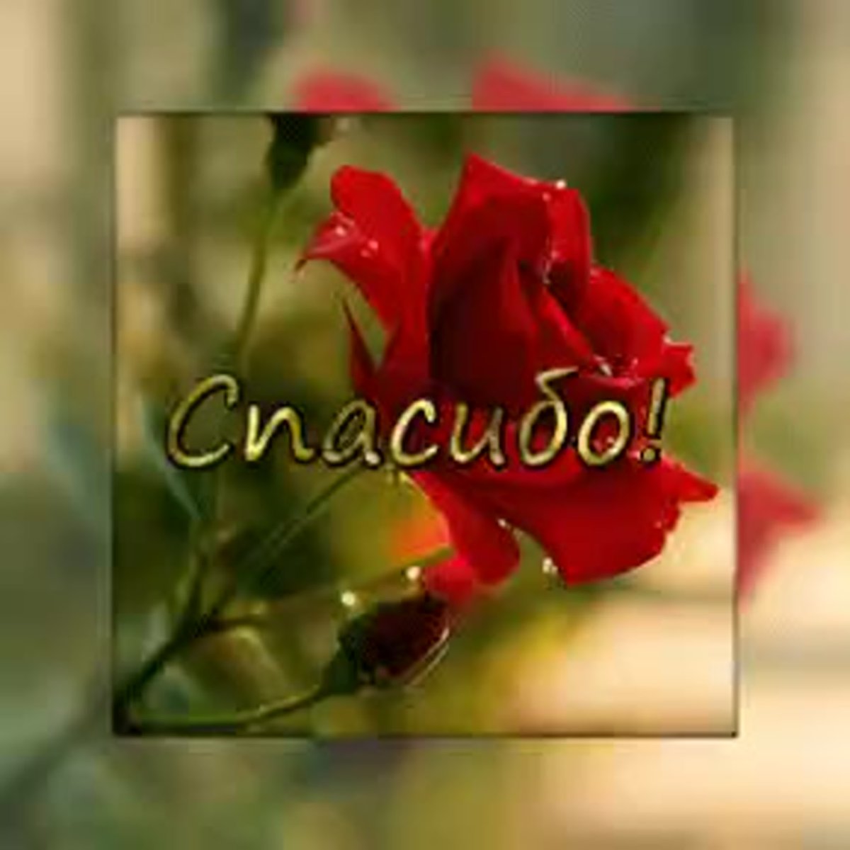 Открытки с благодарностью