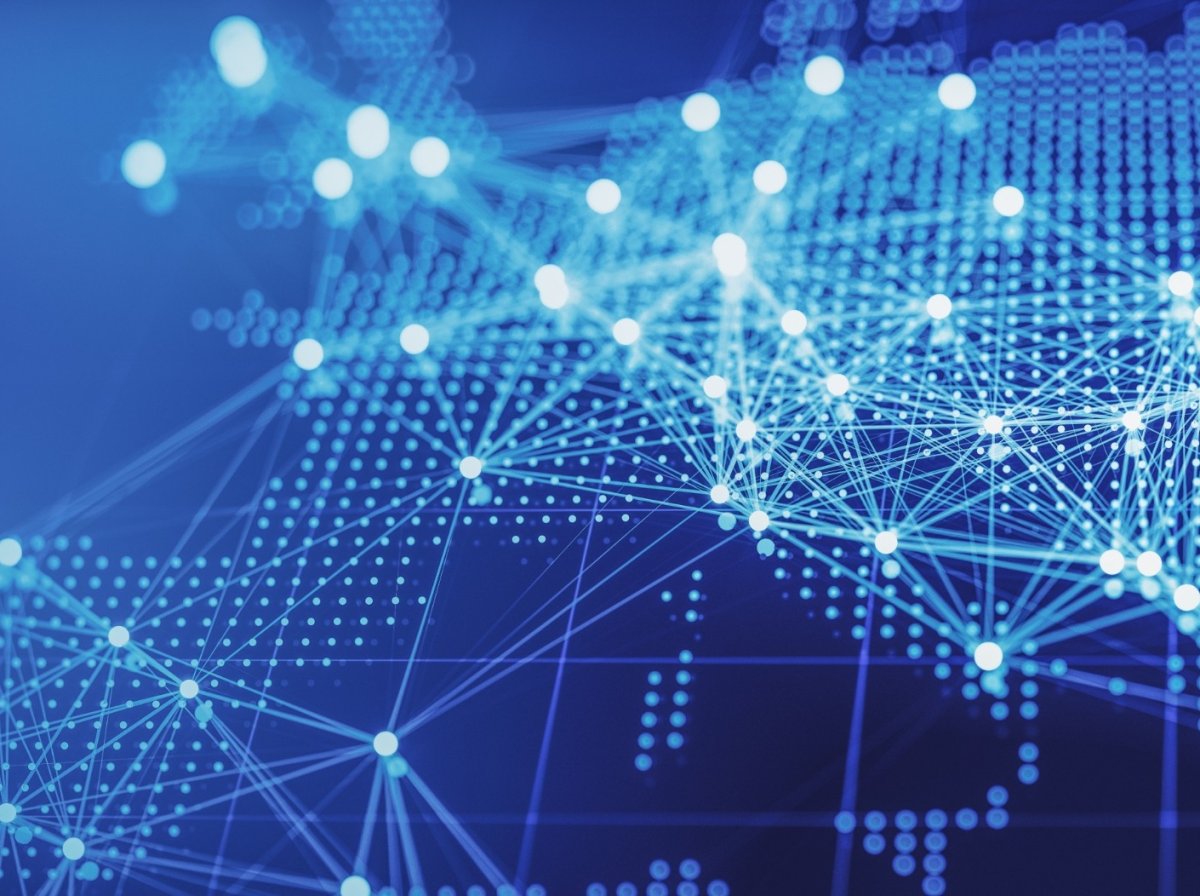 Всемирная паутина