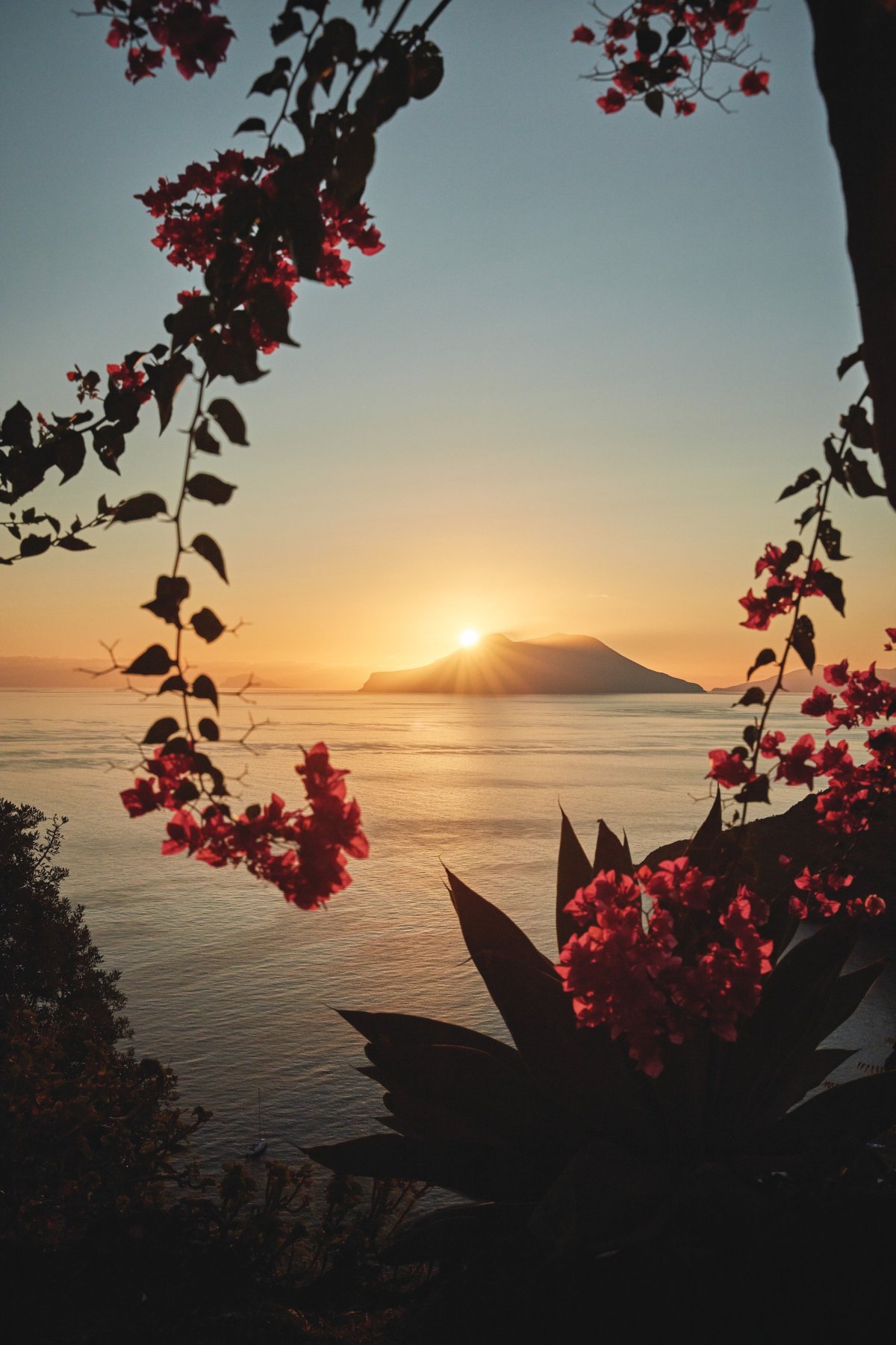 Романтика на природе