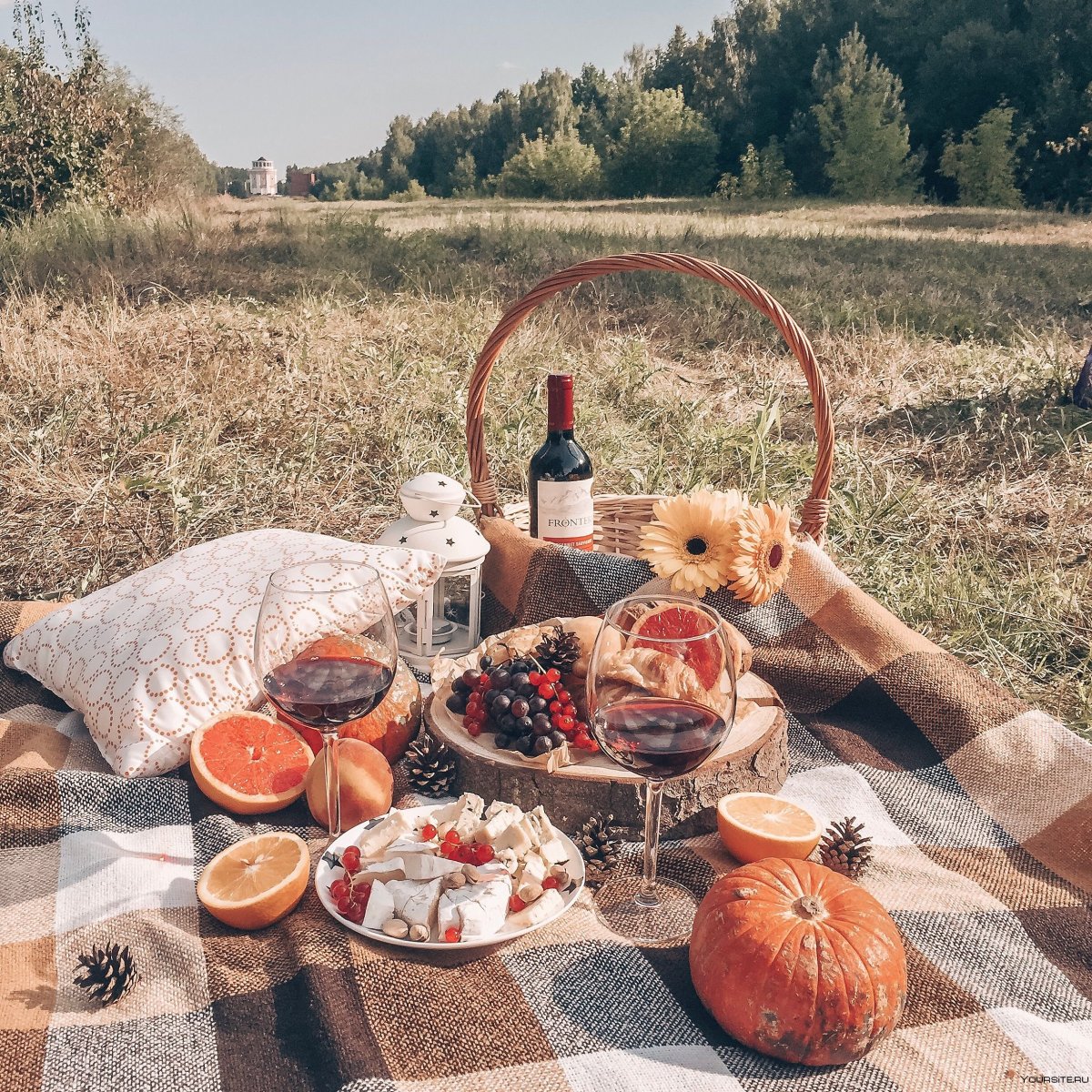 Пикник Пинтерест