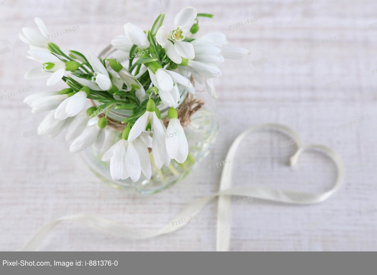 Счастья подснежники