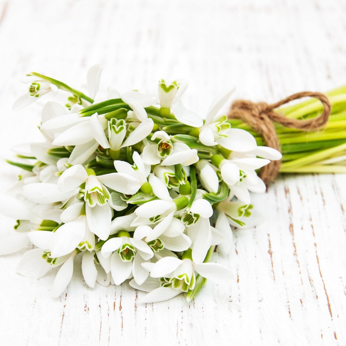 Букет подснежников