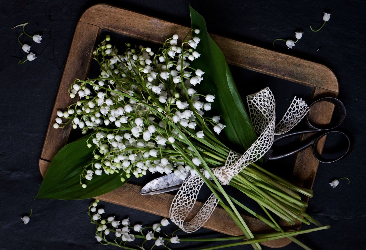 Подснежники букетище