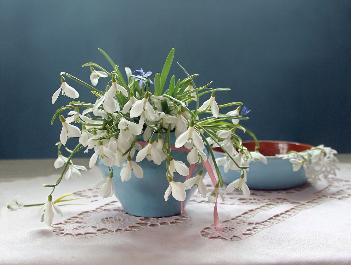 Букет подснежников