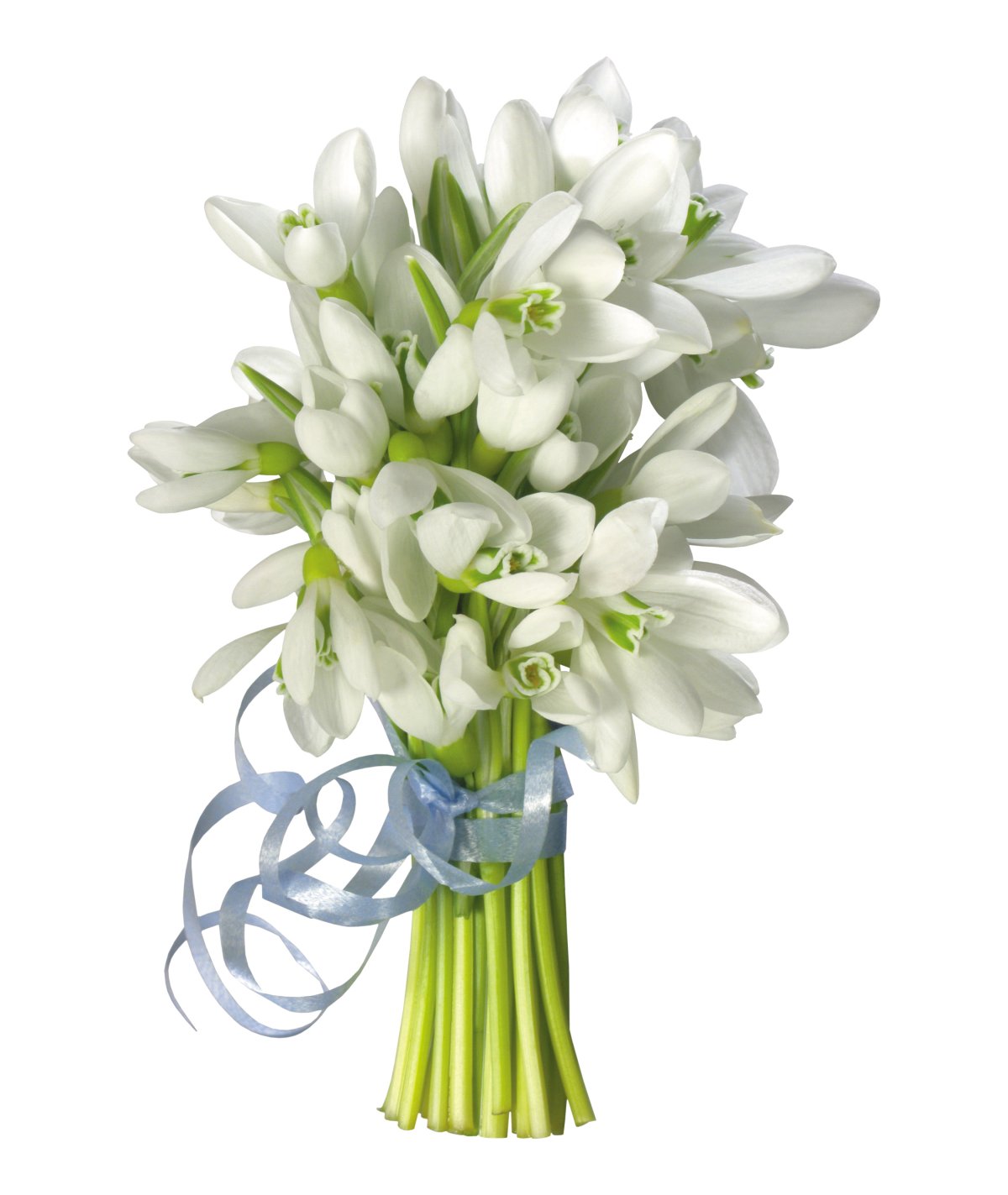 Ландыши и подснежники букет