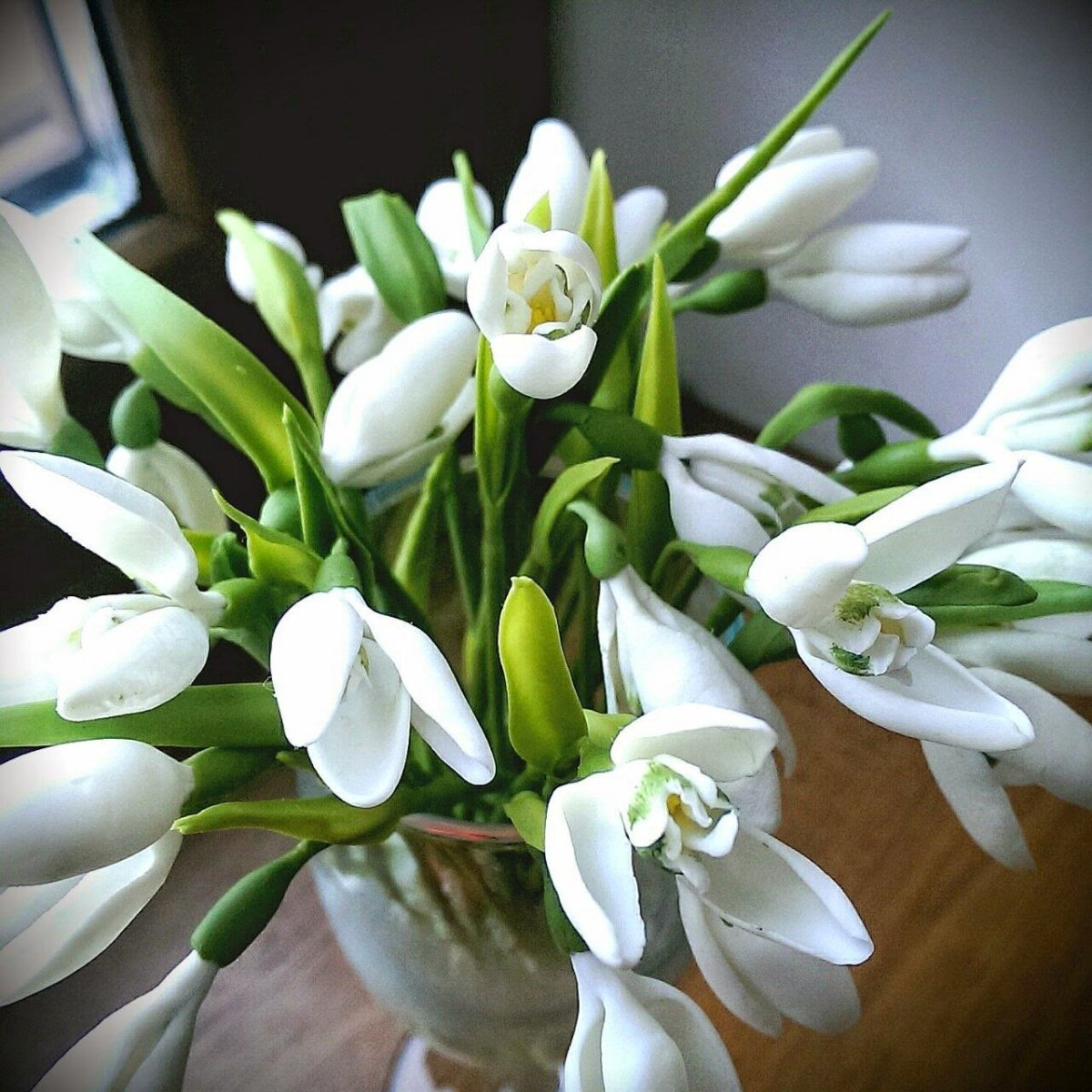 Букеты белых подснежников