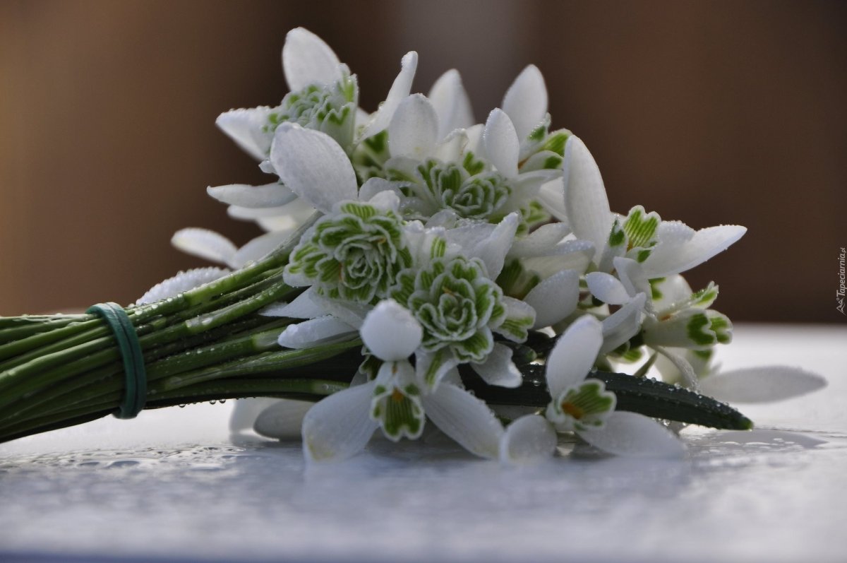 Подснежники в прозрачной вазе