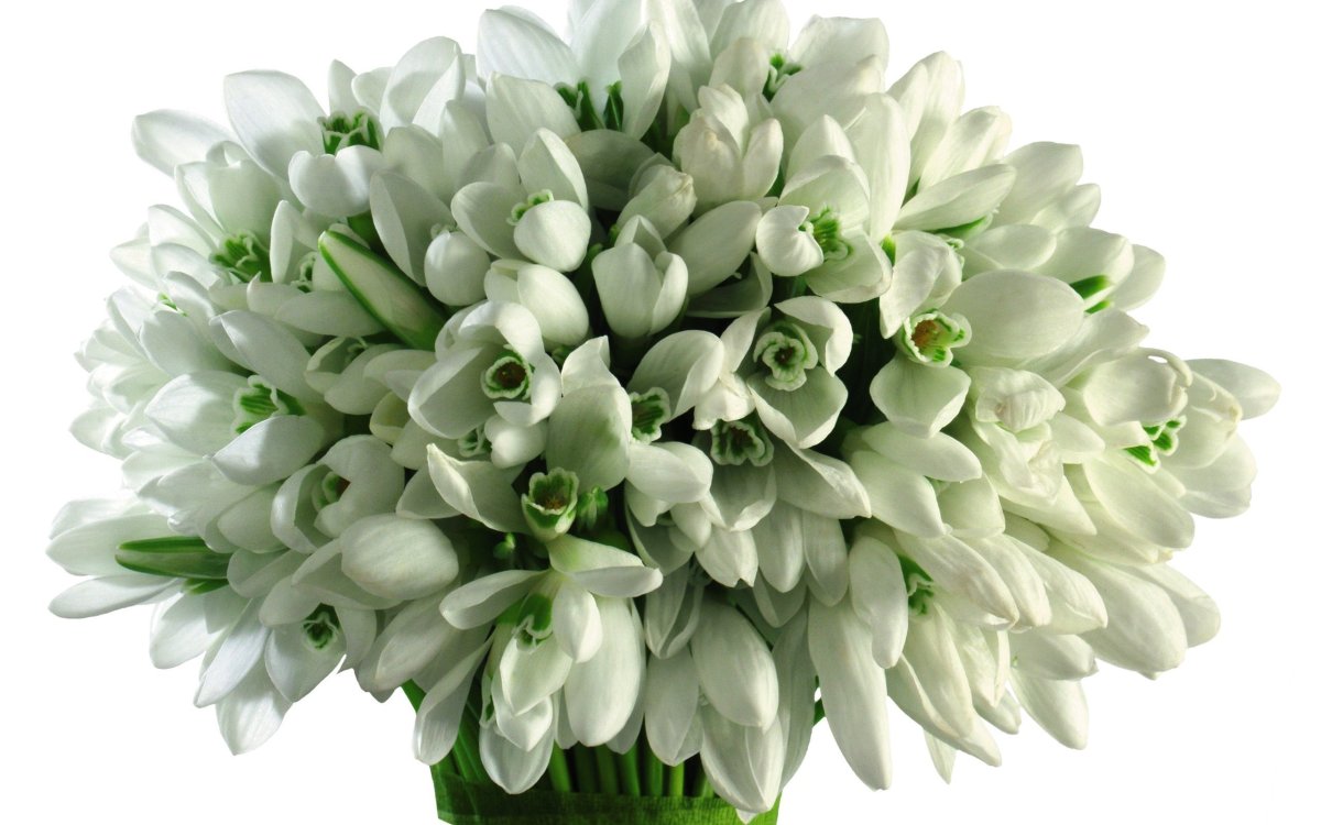 Открытки с подснежниками