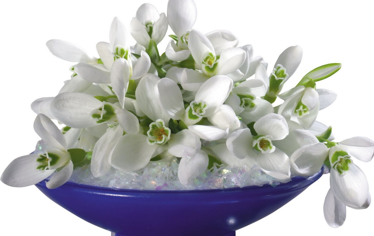 Уют букет Березовский