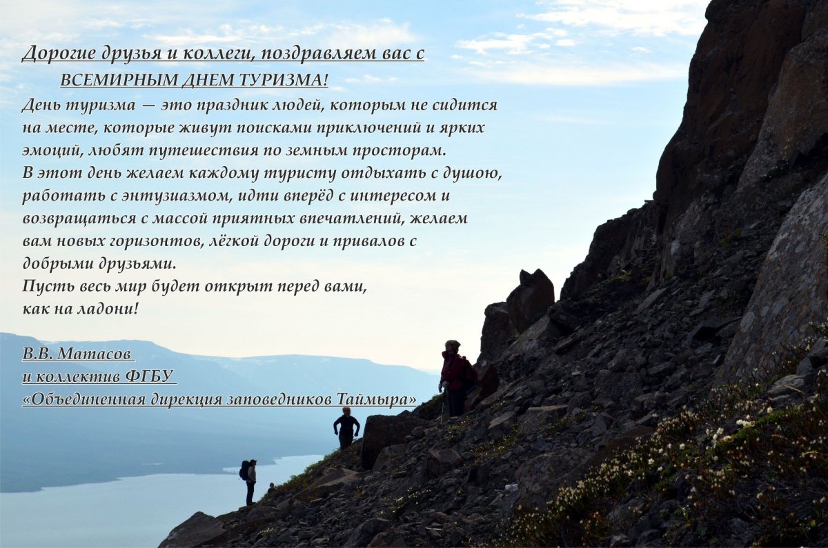 Торт для путешественника