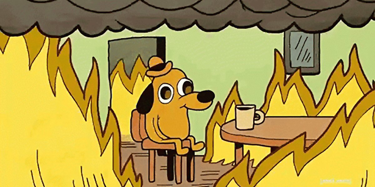 Мем собака в горящем доме