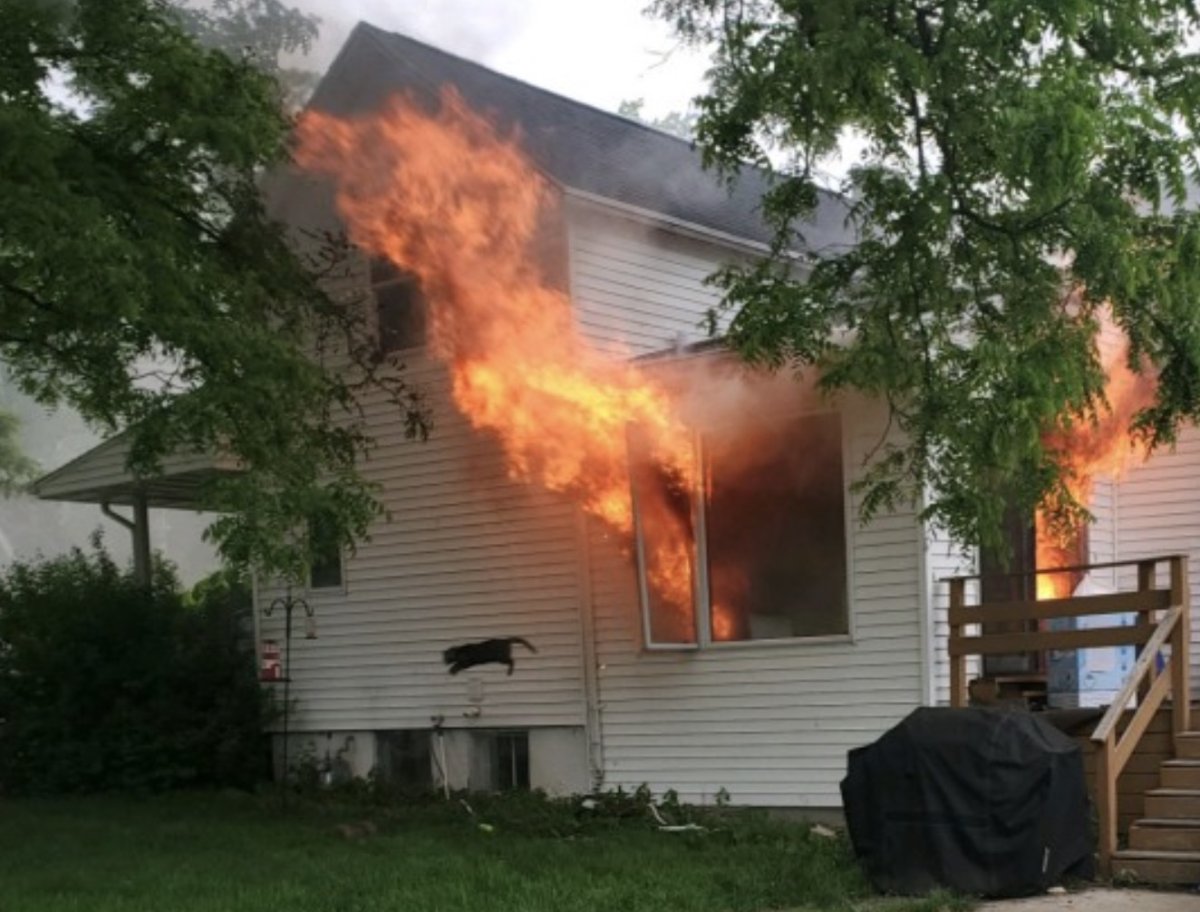 Собака в горящем доме комикс