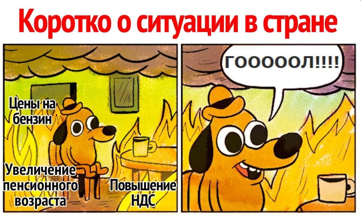 Мем собака в горящем доме