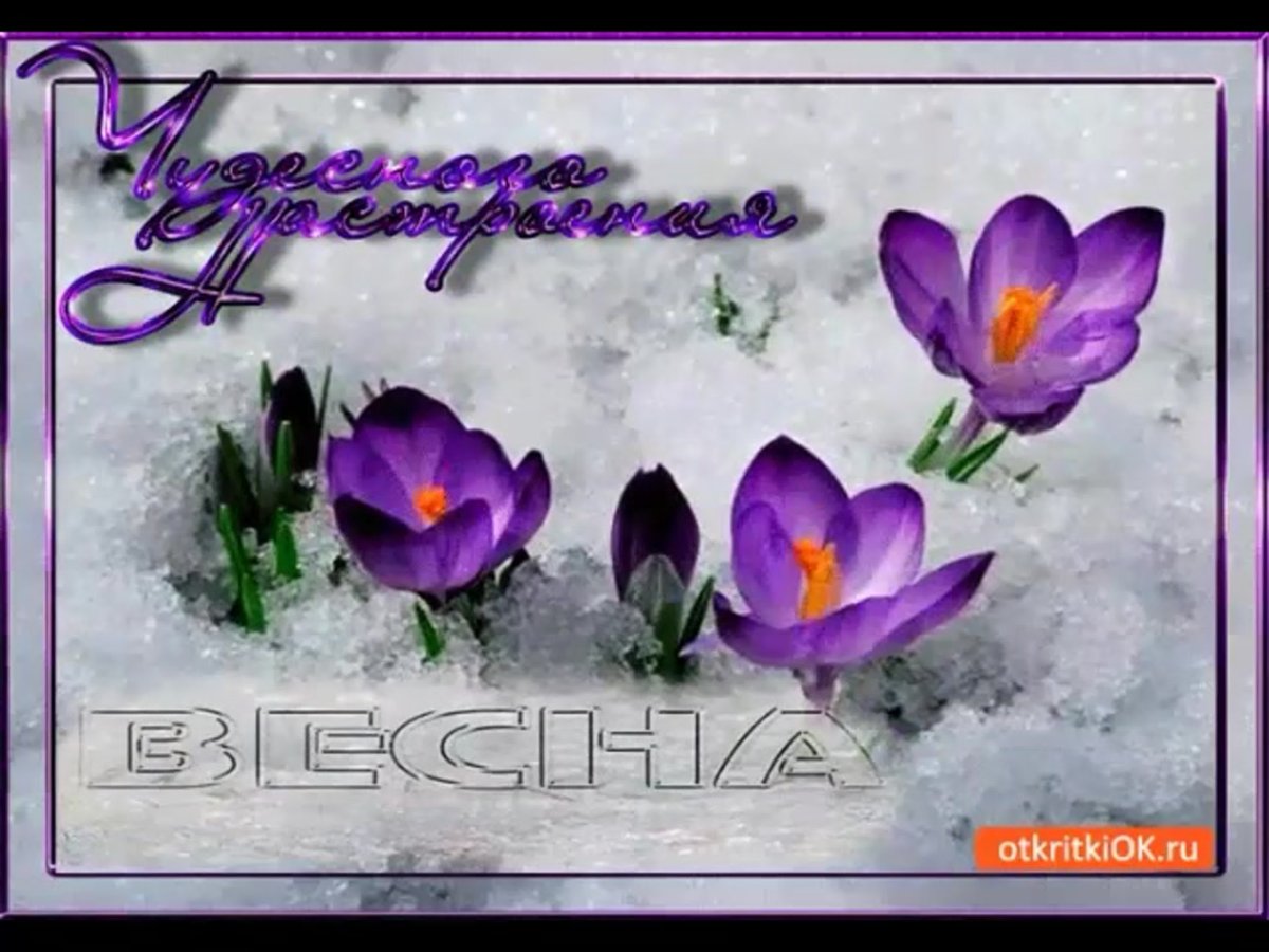 Пожелания с добрым утром четверг