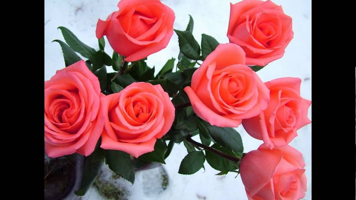 Христианские пожелания с добрым утром