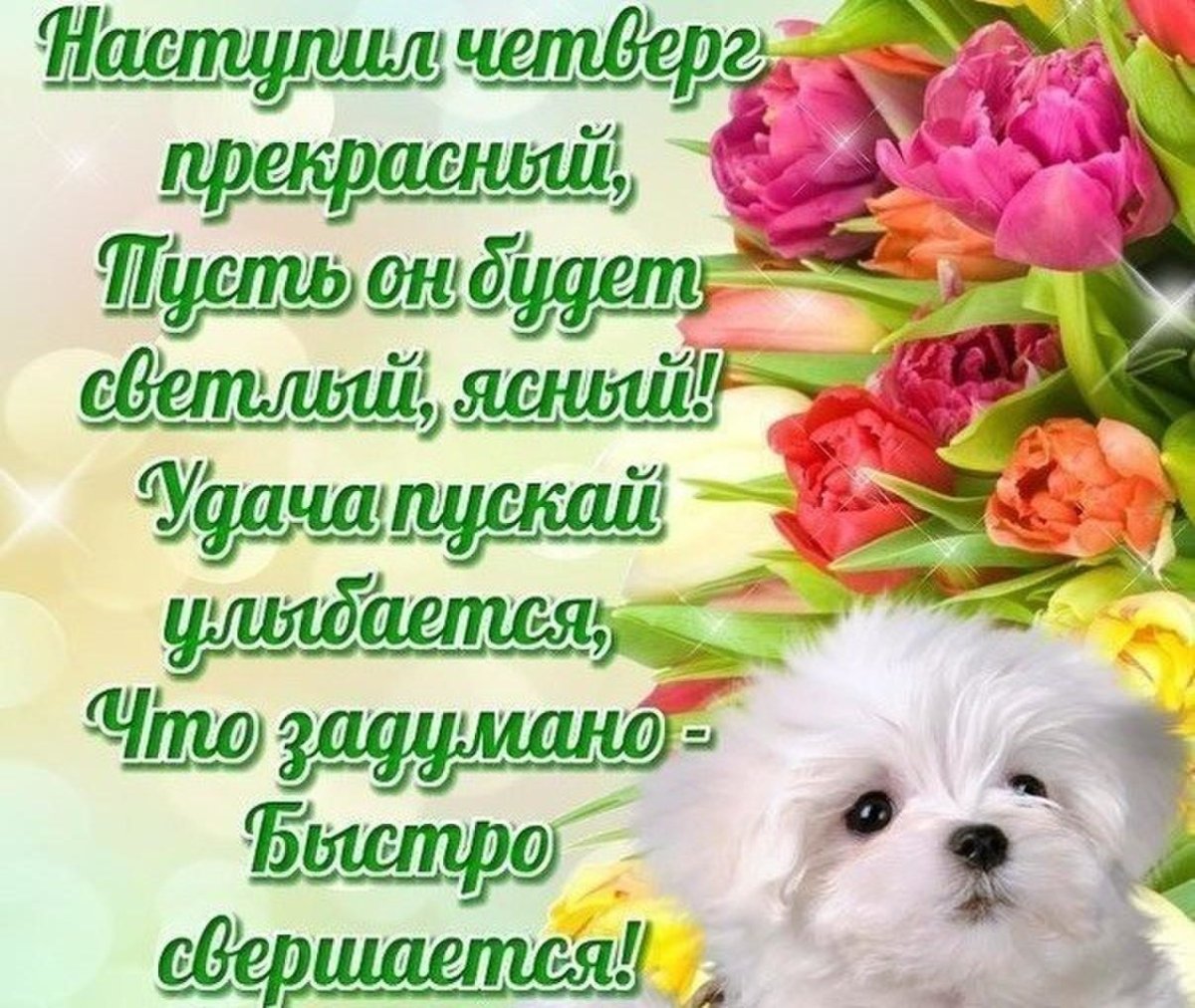 С последним днем зимы