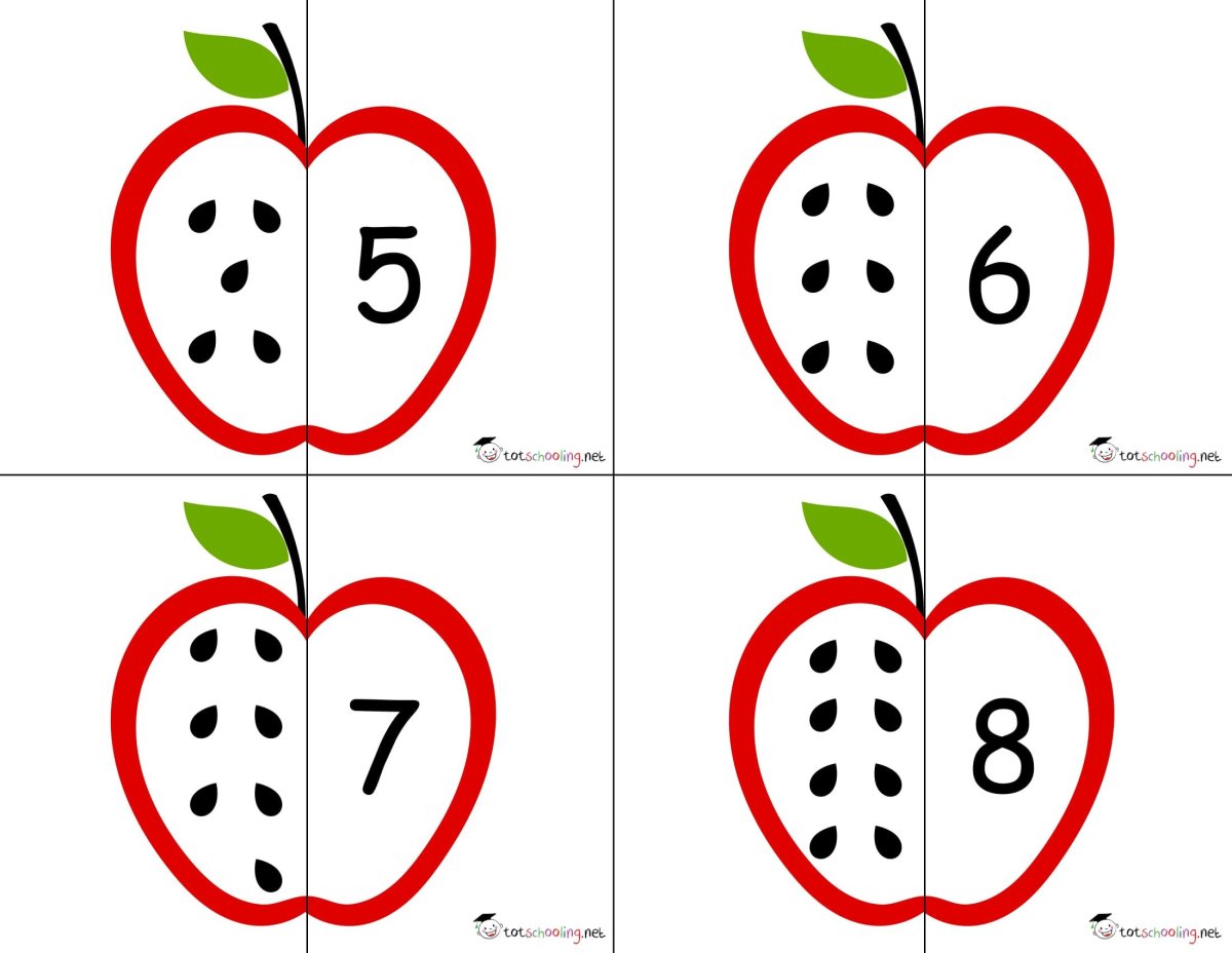 Комнатные цветы задания для дошкольников