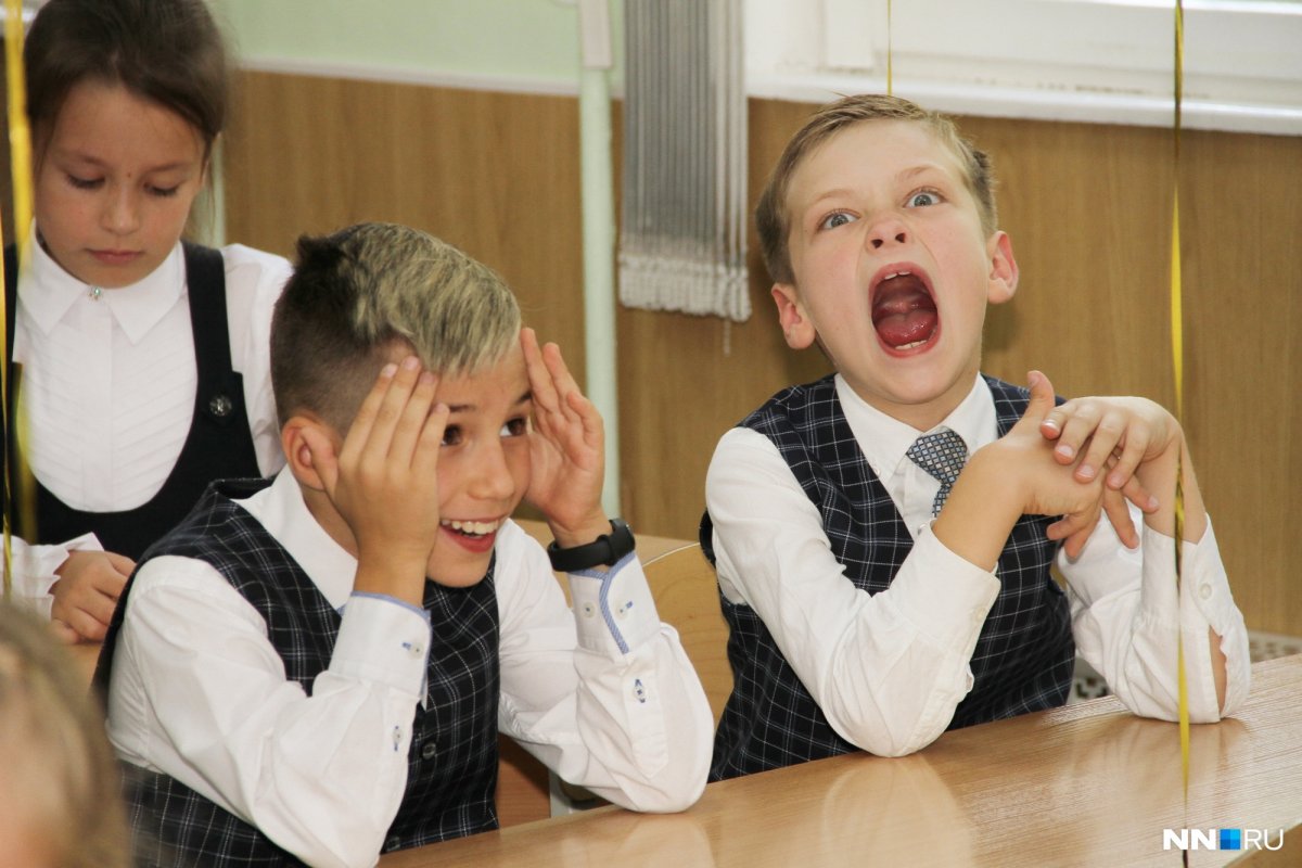 Скоро в школу смешные