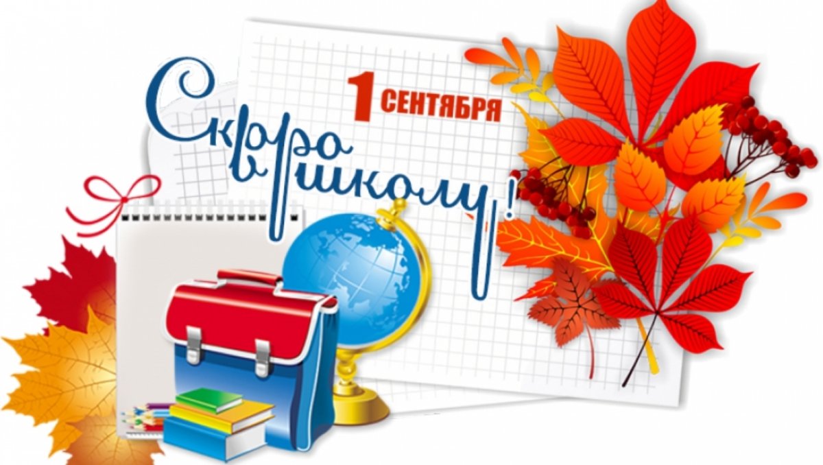 Скоро в школу приколы